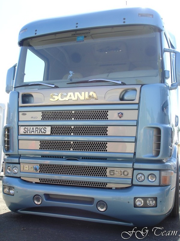 Svempas Shark (14).JPG